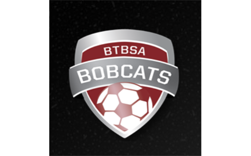 BTBSA logo